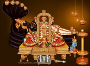 Srirangam temple photos